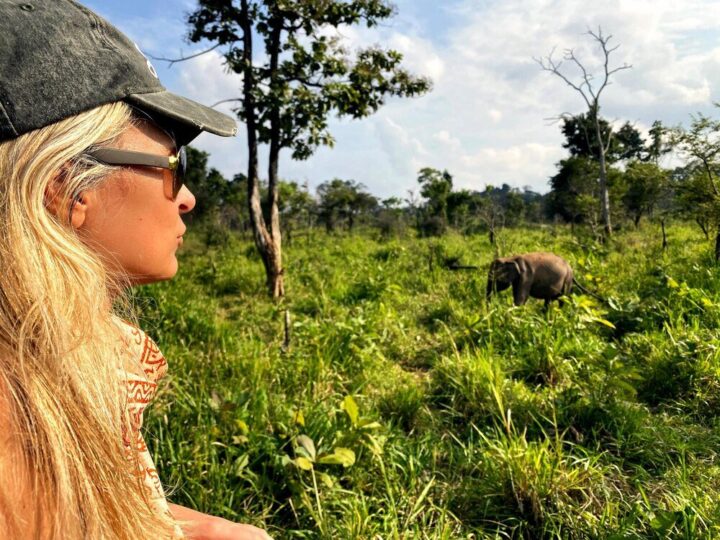 Dzika przyroda na Sumatrze i Borneo: co zobaczyć?