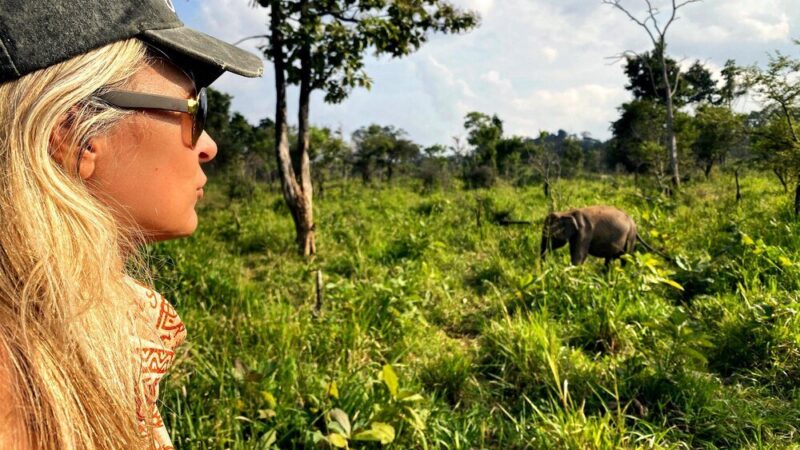 Dzika przyroda na Sumatrze i Borneo: co zobaczyć?