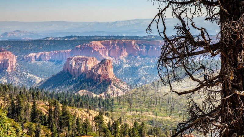 Najpiękniejsze parki narodowe w USA: przewodnik po 14 urokliwych miejscach